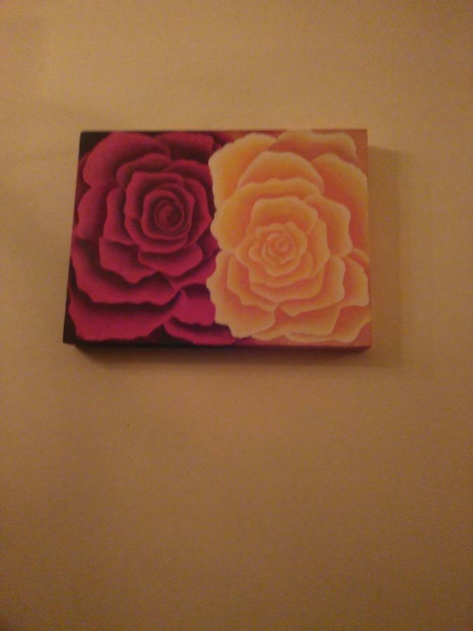 Casa Aromi Ed Arte Guest House Asti Luaran gambar